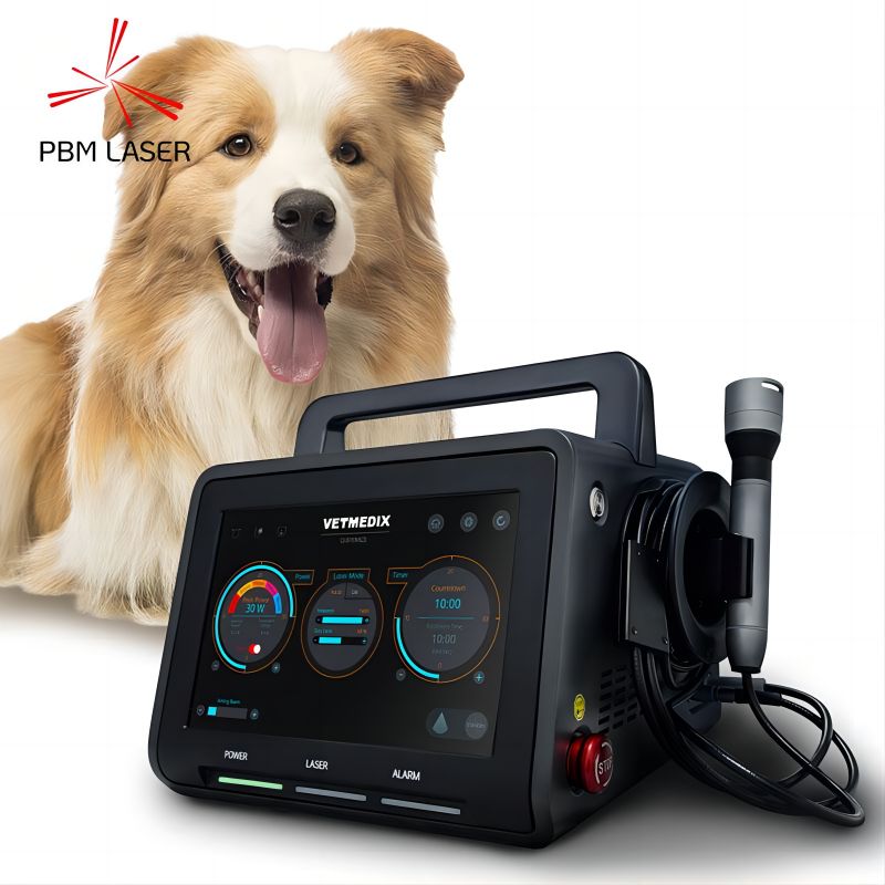 Quais condições os lasers veterinários podem ser usados ​​para tratar?
