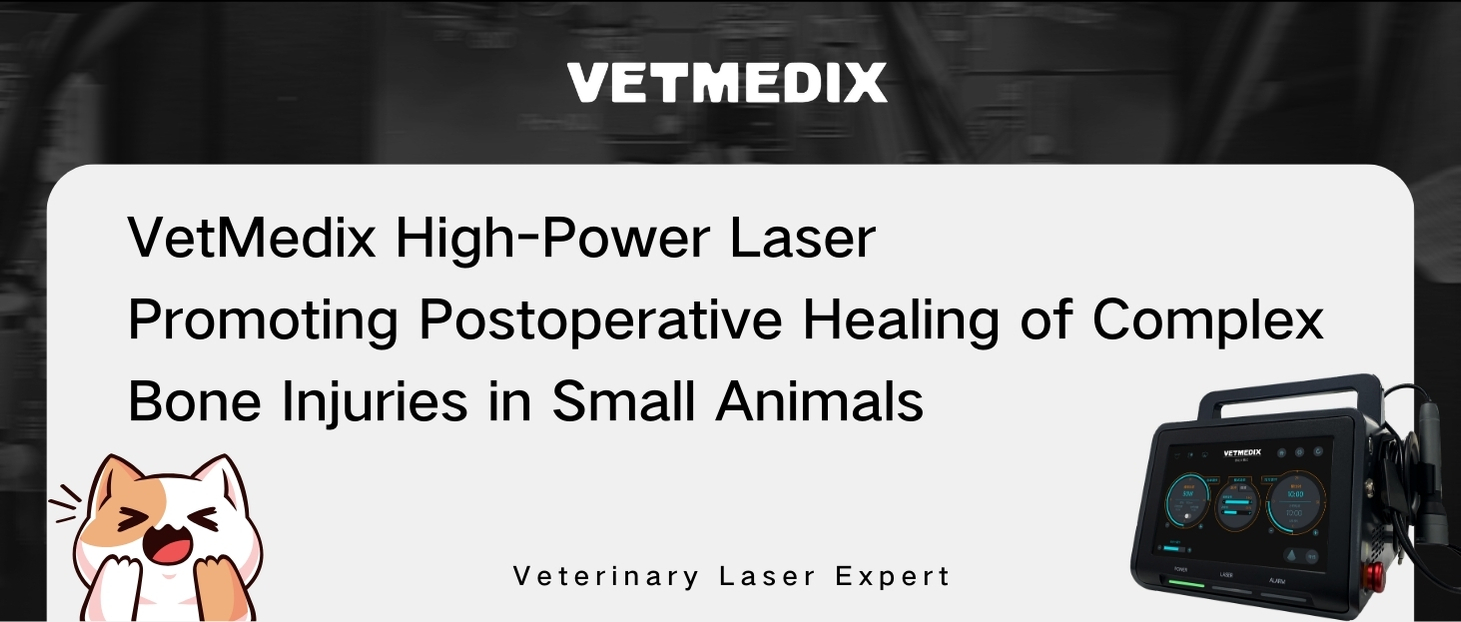 VetMedix Case Sharing丨Tratamento a laser de alta potência de fratura tibiofibular secundária em animais