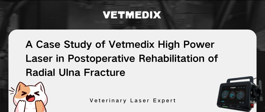 Compartilhamento de casos Vetmedix 丨 Terapia a laser de alta potência na reabilitação pós-operatória de fratura radial da ULNA