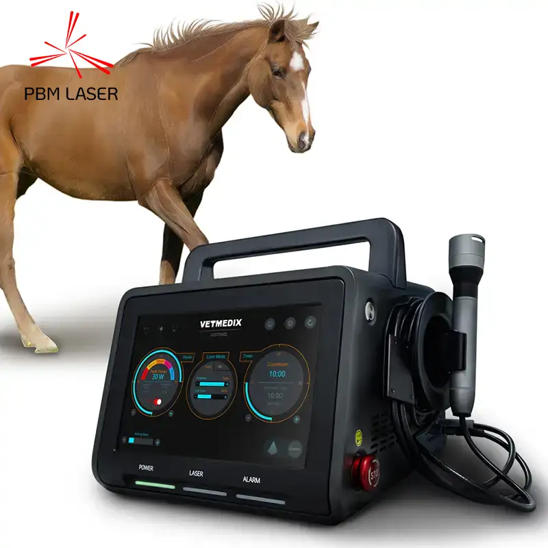 Tratamento a Laser Equino